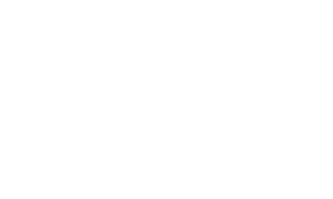 Logo Transportes Bossay